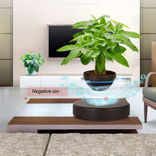 Load image into Gallery viewer, Magnetic Levitation Suspension Flower Floating Decor